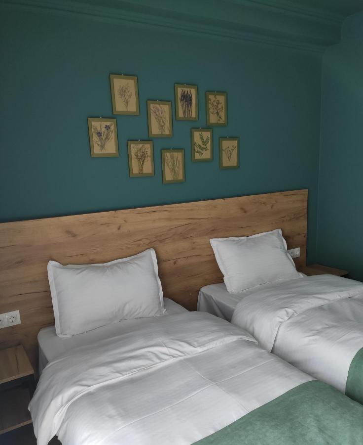 Northgate Hotel Kazbegi Buitenkant foto